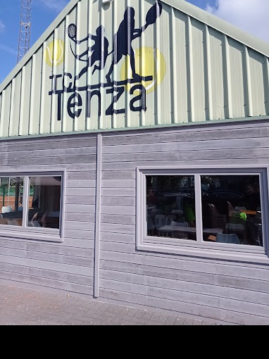 Tenza logo