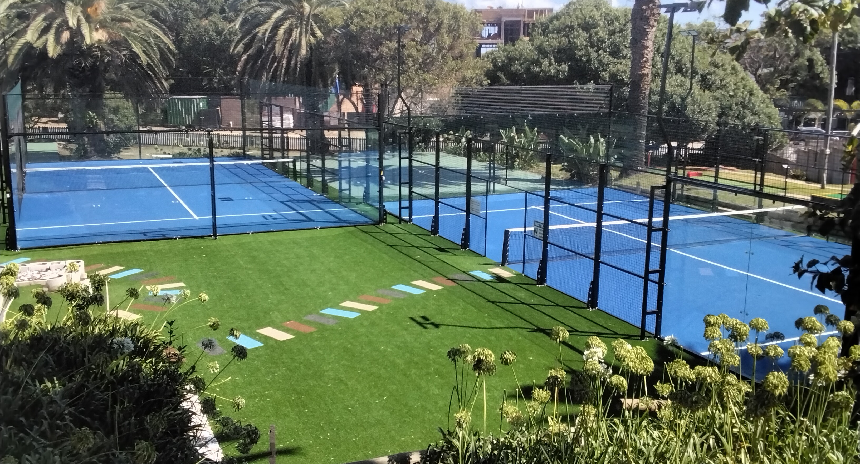 Wild Padel