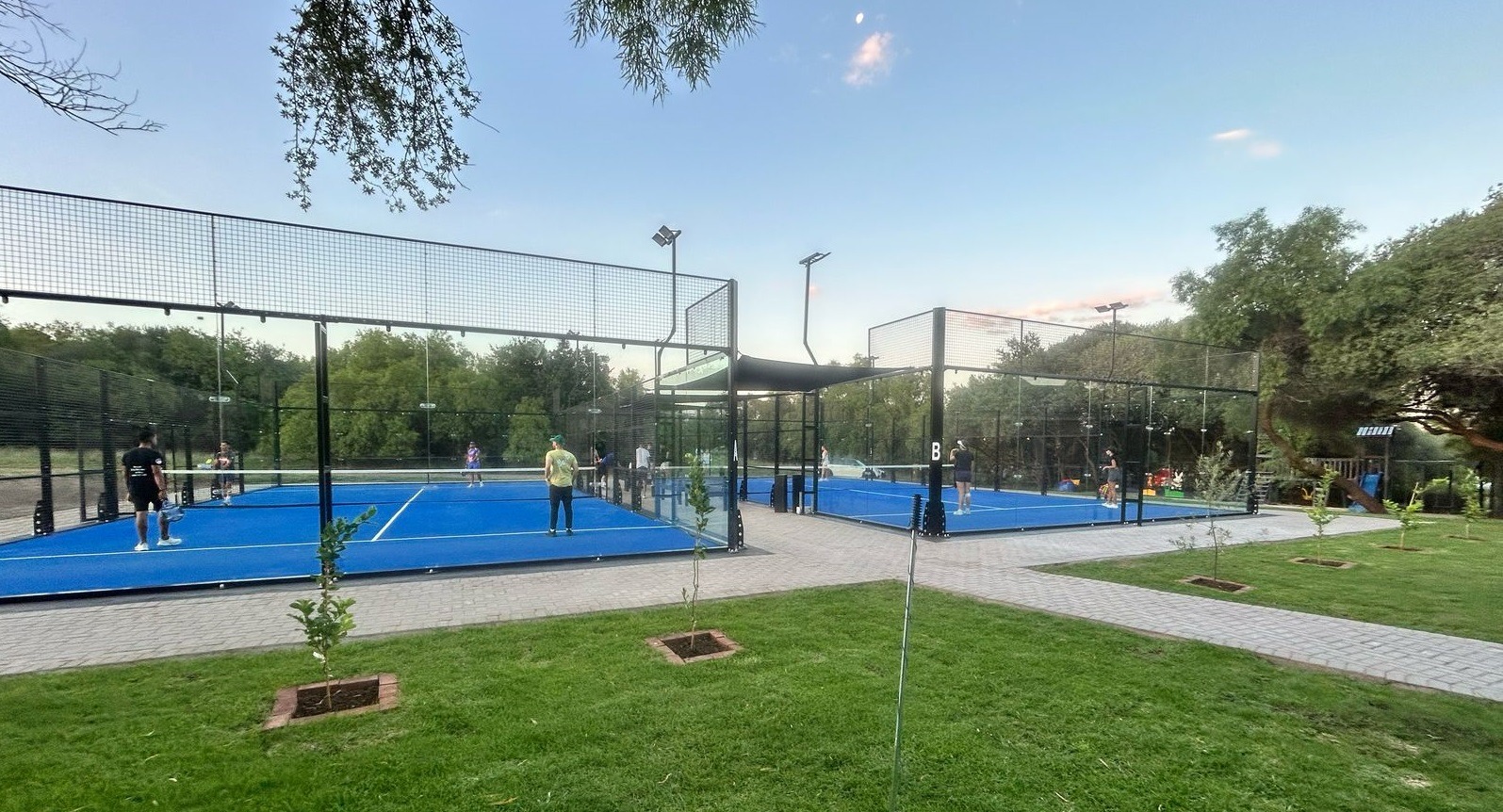 Padel in the Woods