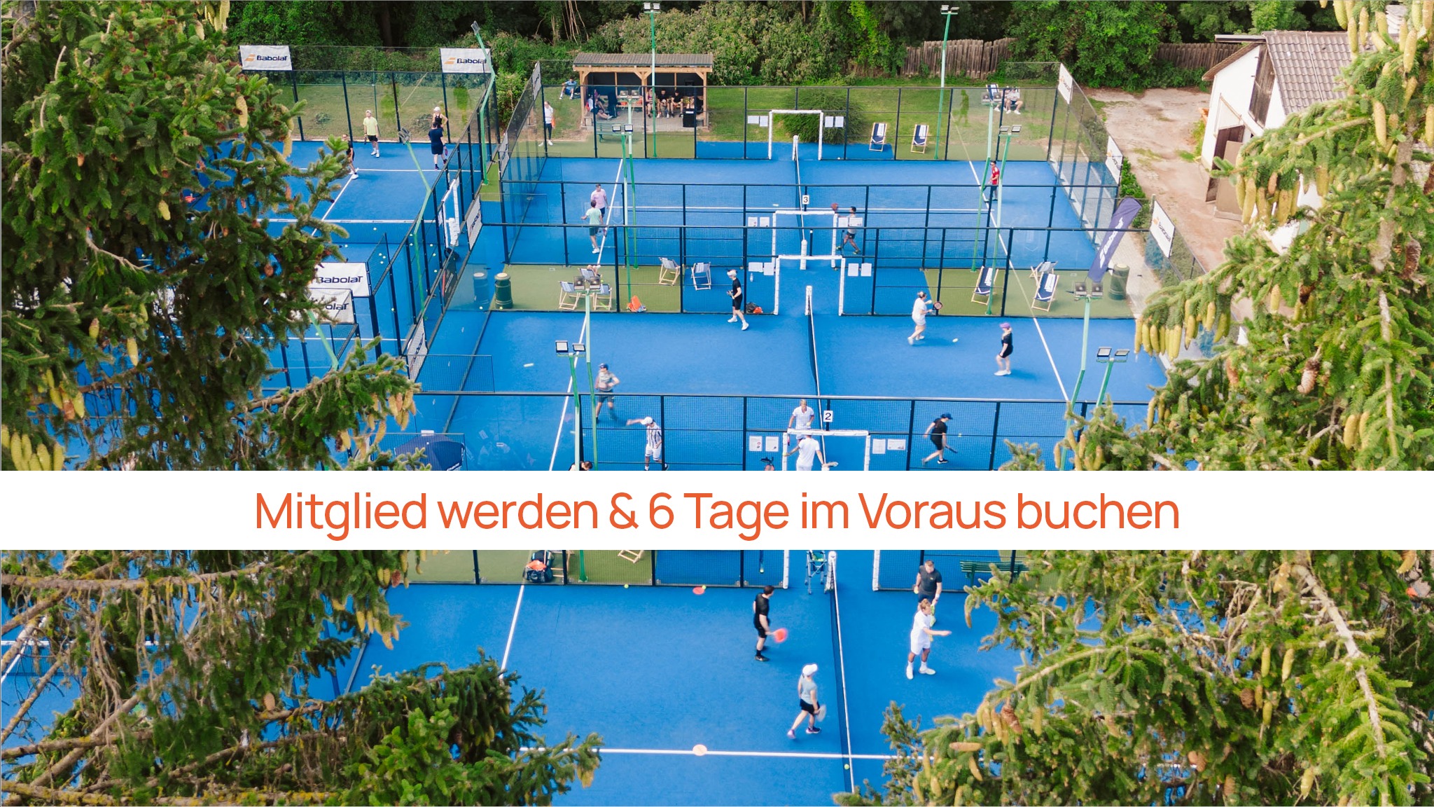 Scheck Club Padel + Pickleball