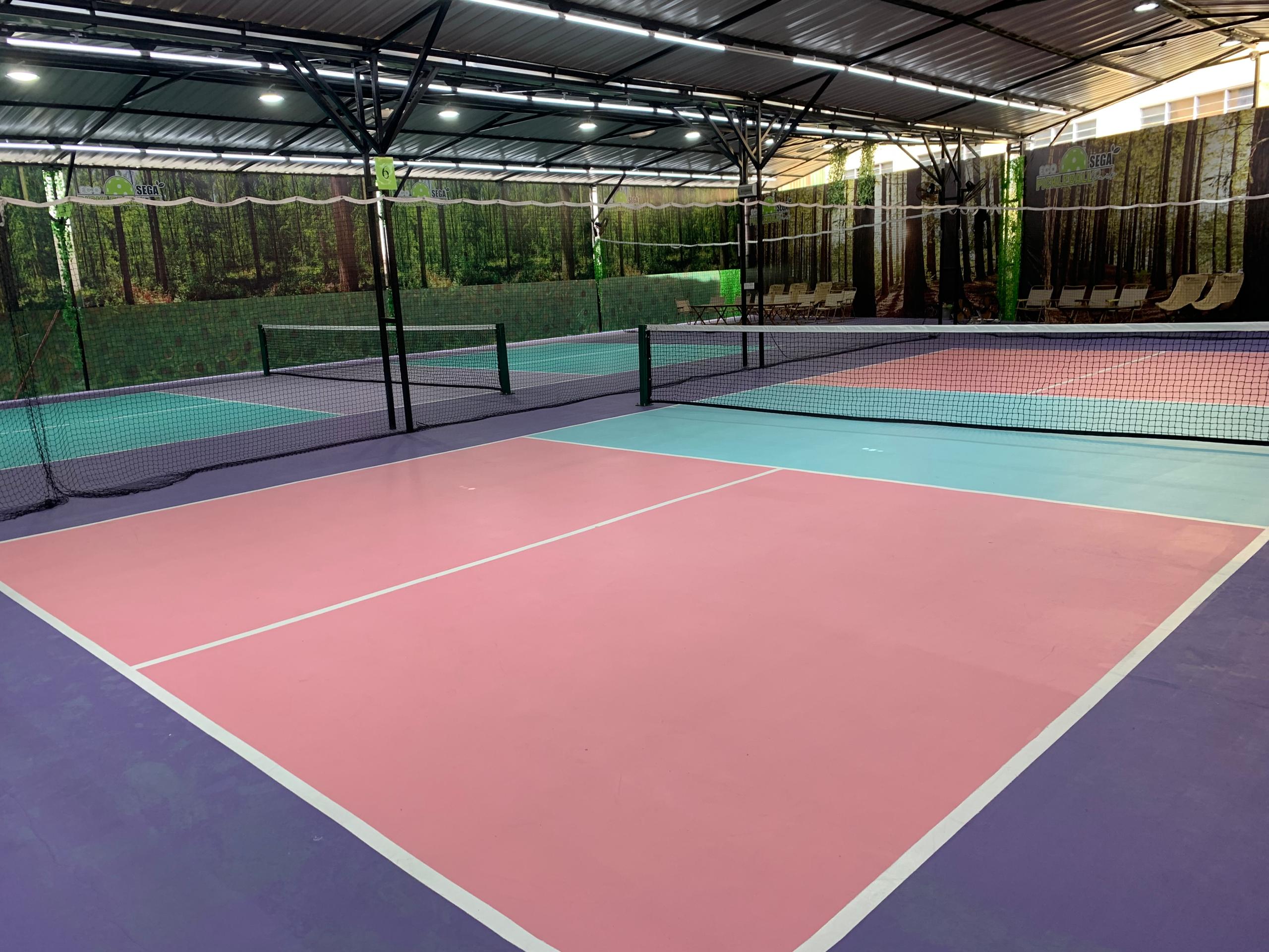 Ecosega Pickleball Park - Photo 5