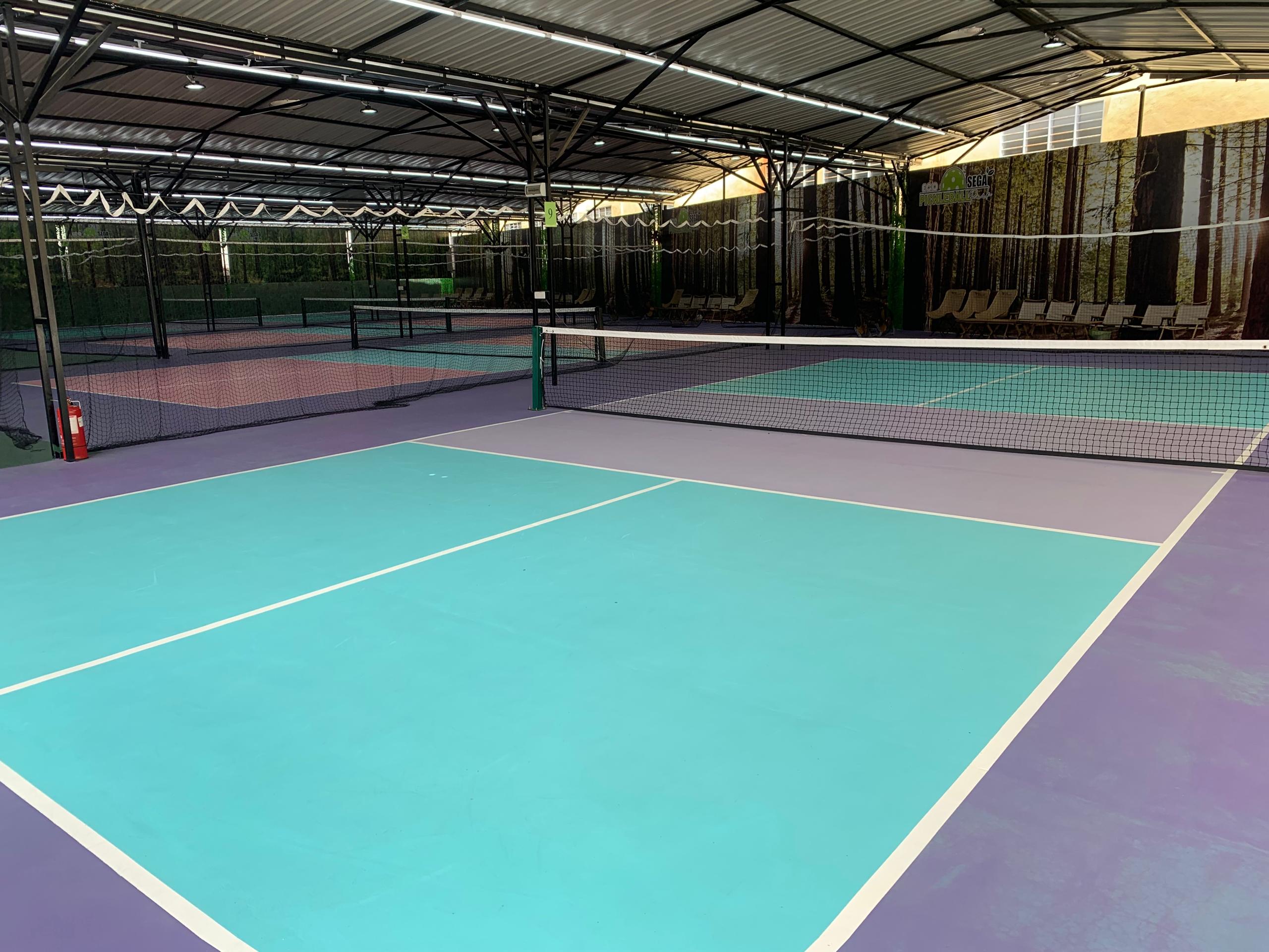 Ecosega Pickleball Park - Photo 7
