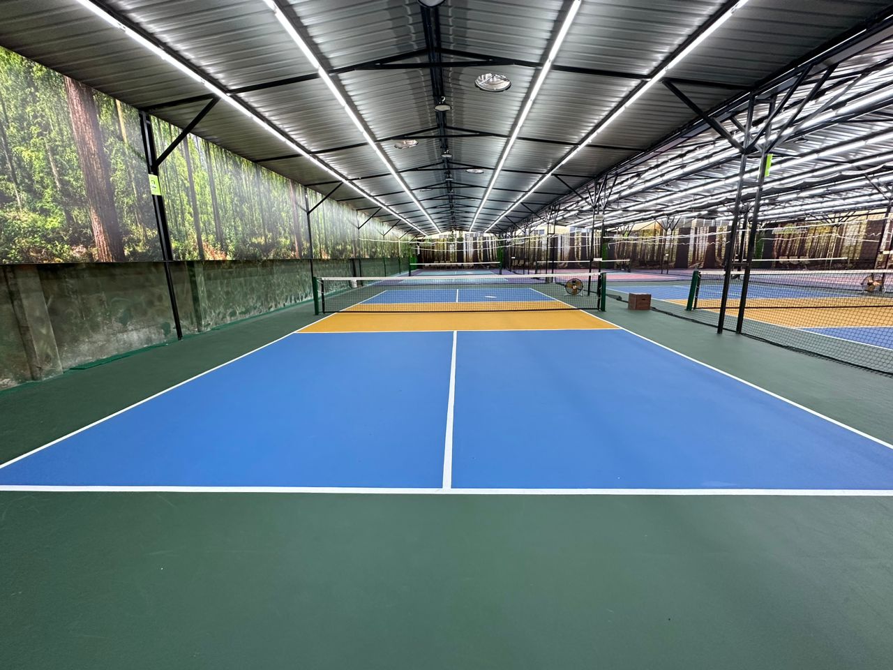 Ecosega Pickleball Park - Photo 13