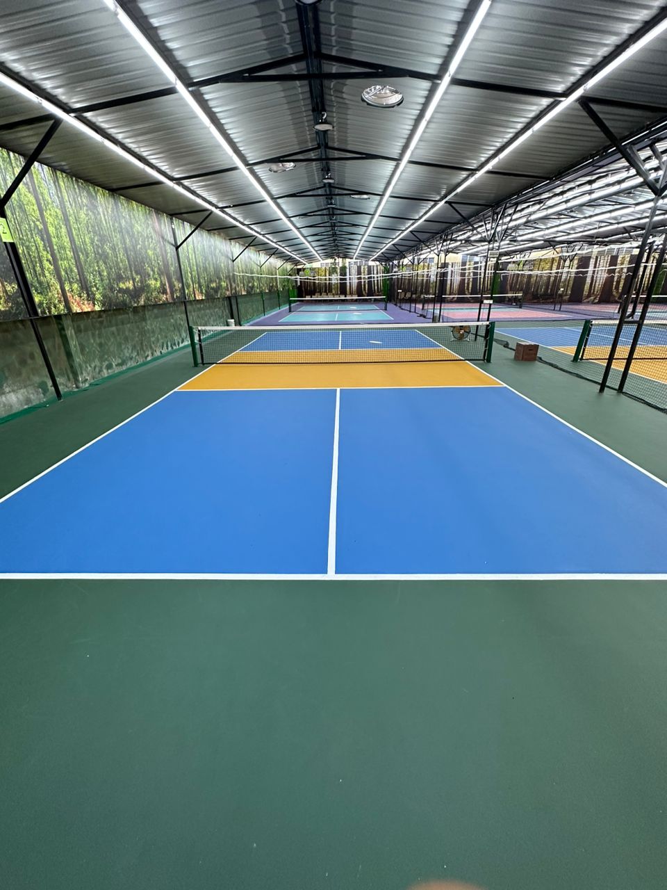 Ecosega Pickleball Park - Photo 12