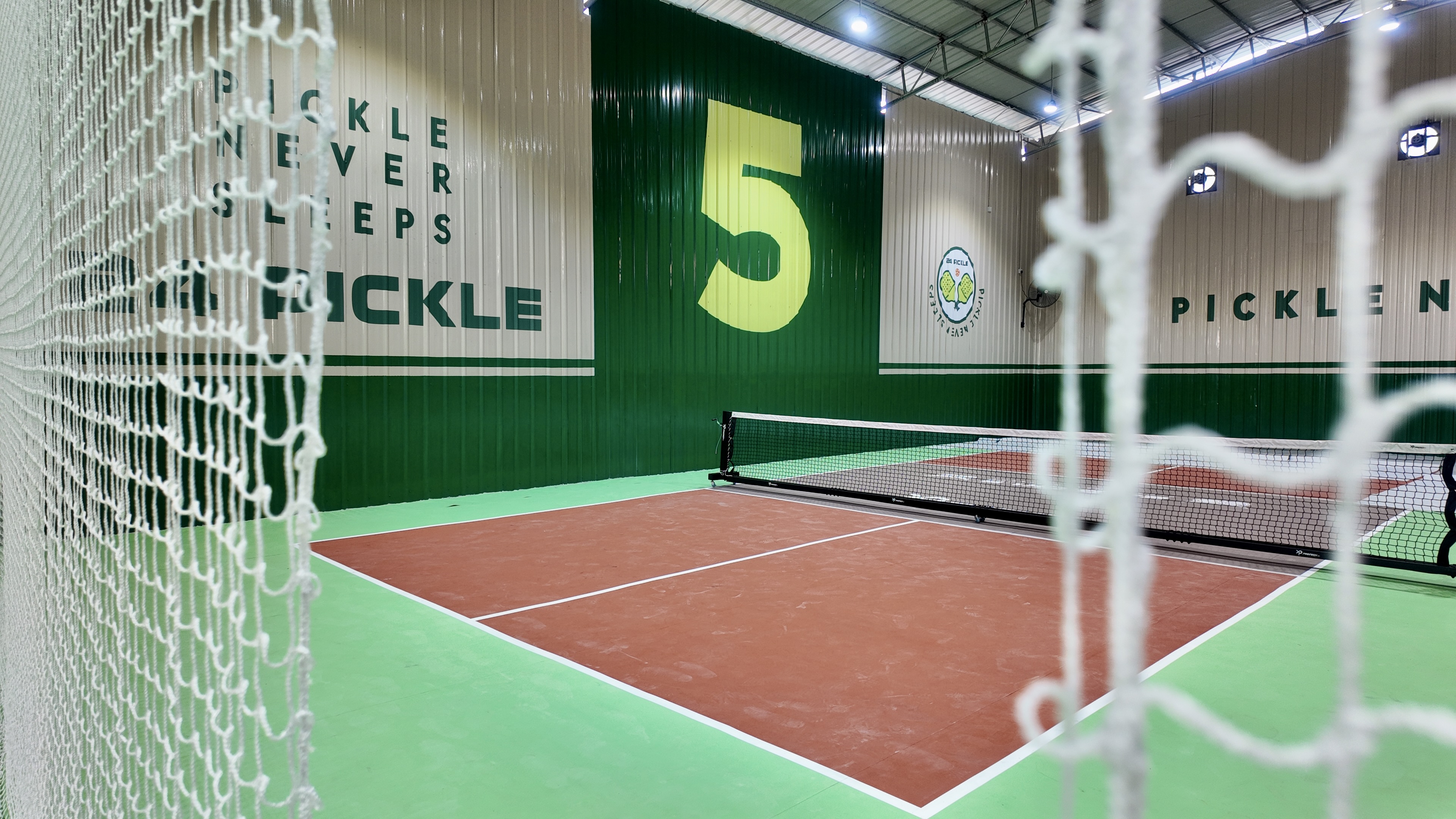 24 PICKLE - Photo 4