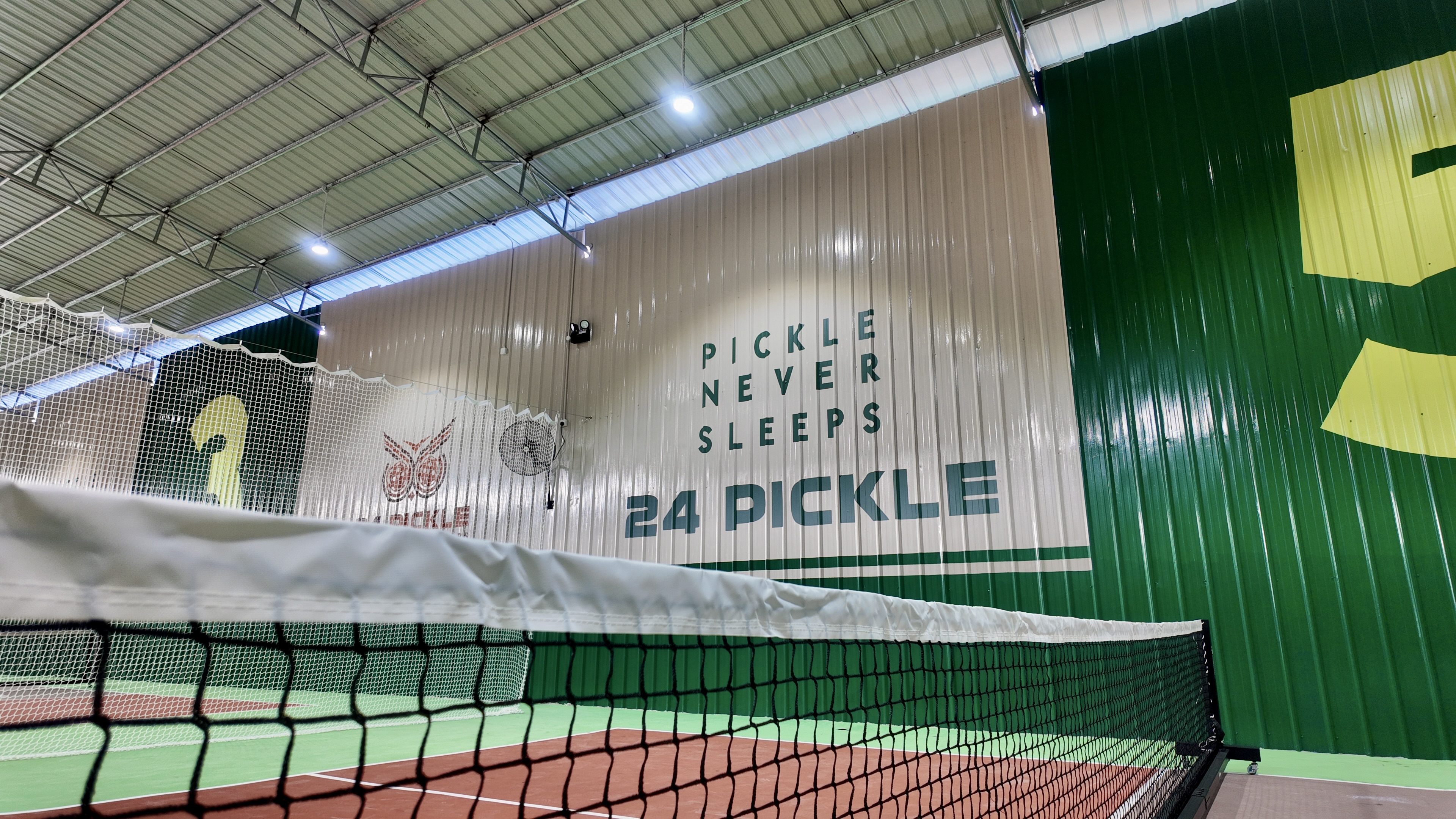 24 PICKLE - Photo 5