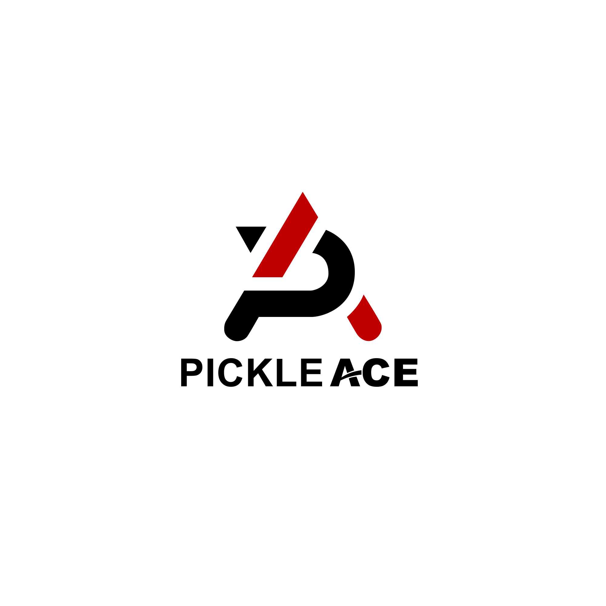 PickleAce - Photo 3