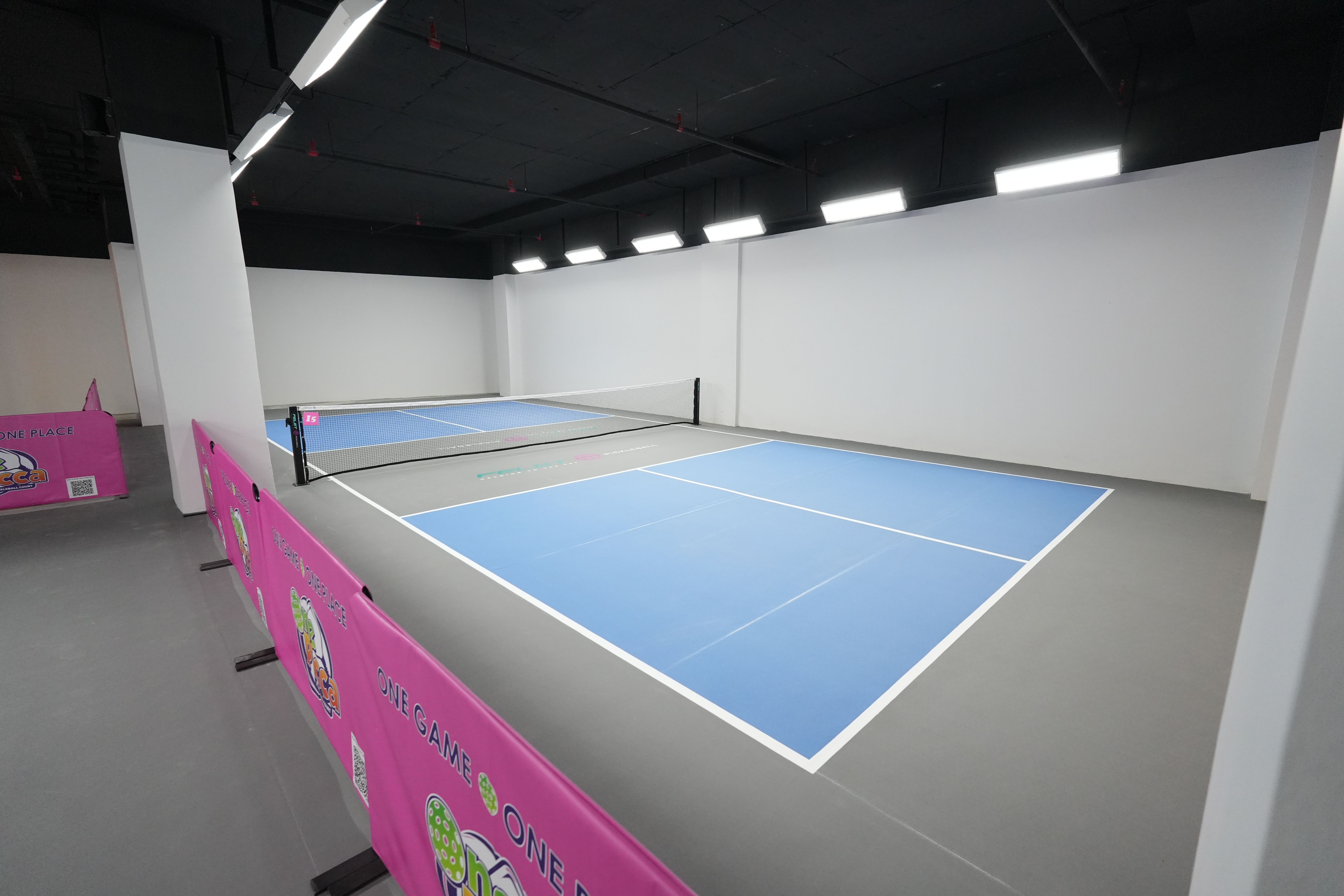 One Picca Pickleball Court - Photo 1