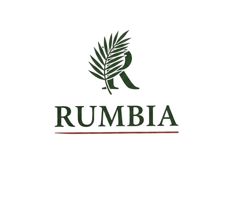 Rock 7 Pickle & Rumbia - Photo 3