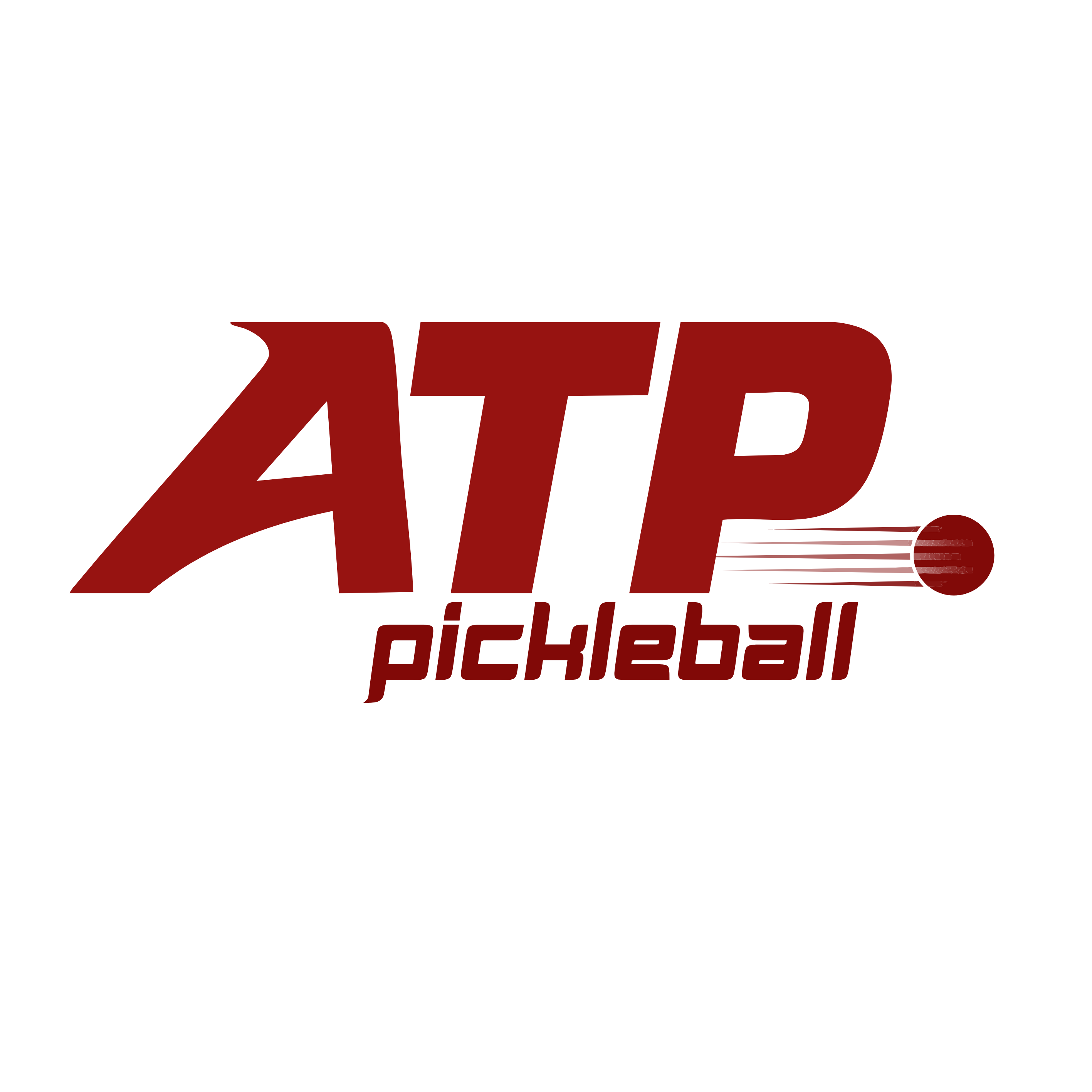 ATP Pickleball - Kuantan - Photo 3