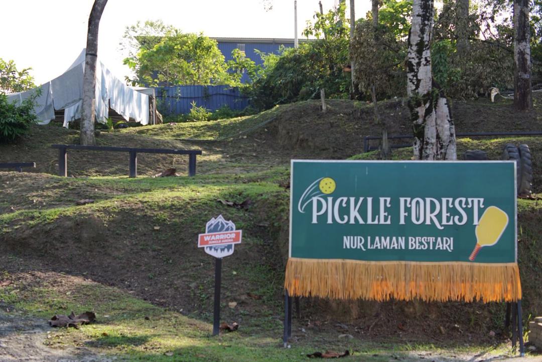 Pickle Forest - Photo 8