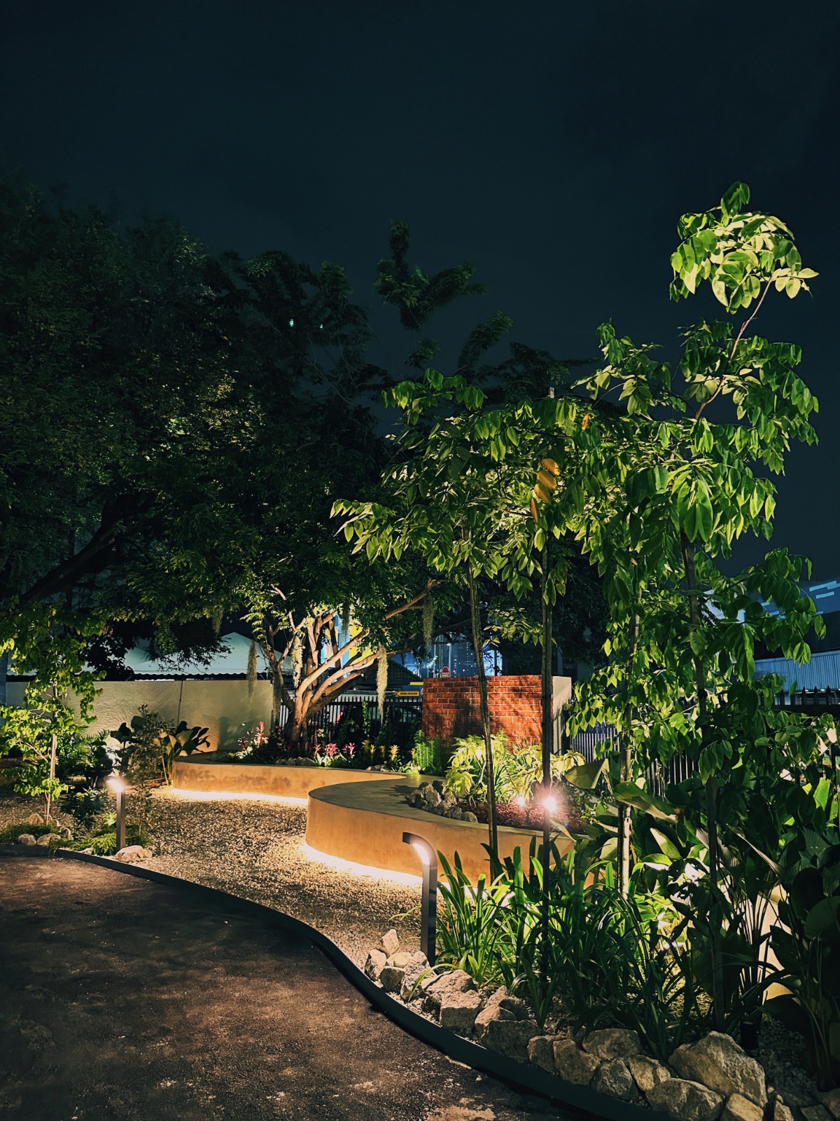 Pickle Garden - Photo 9