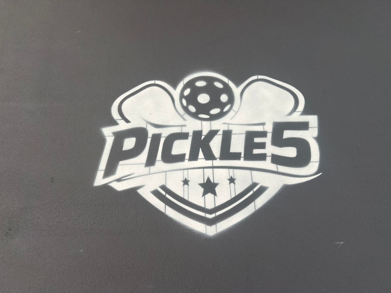 Pickle 5 - Photo 3