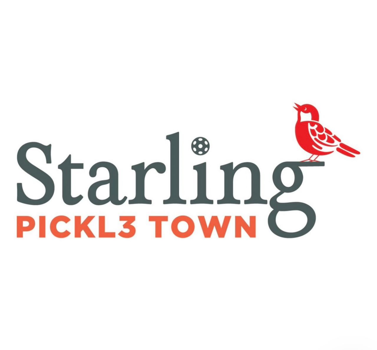 Starling Pickl3 Town - Photo 3