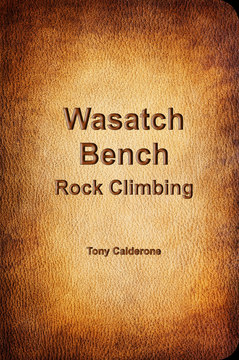 Wasatch Bench Rock Climbing cover