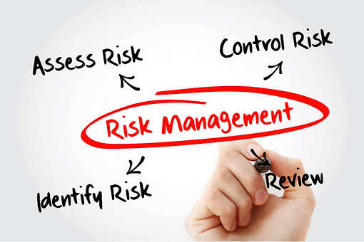 ISO 31000 Risk Management Systems Guidelines Course
