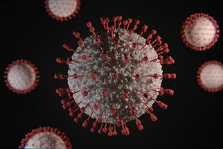 Microbiological hazards (Food Safety Level 2)