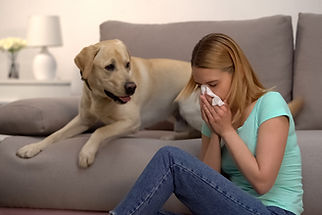 Introduction to Allergens