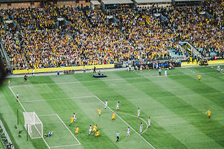 Stewarding at Spectator Safety Events & Spectator Safety