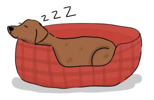 Sleeping dog illustration