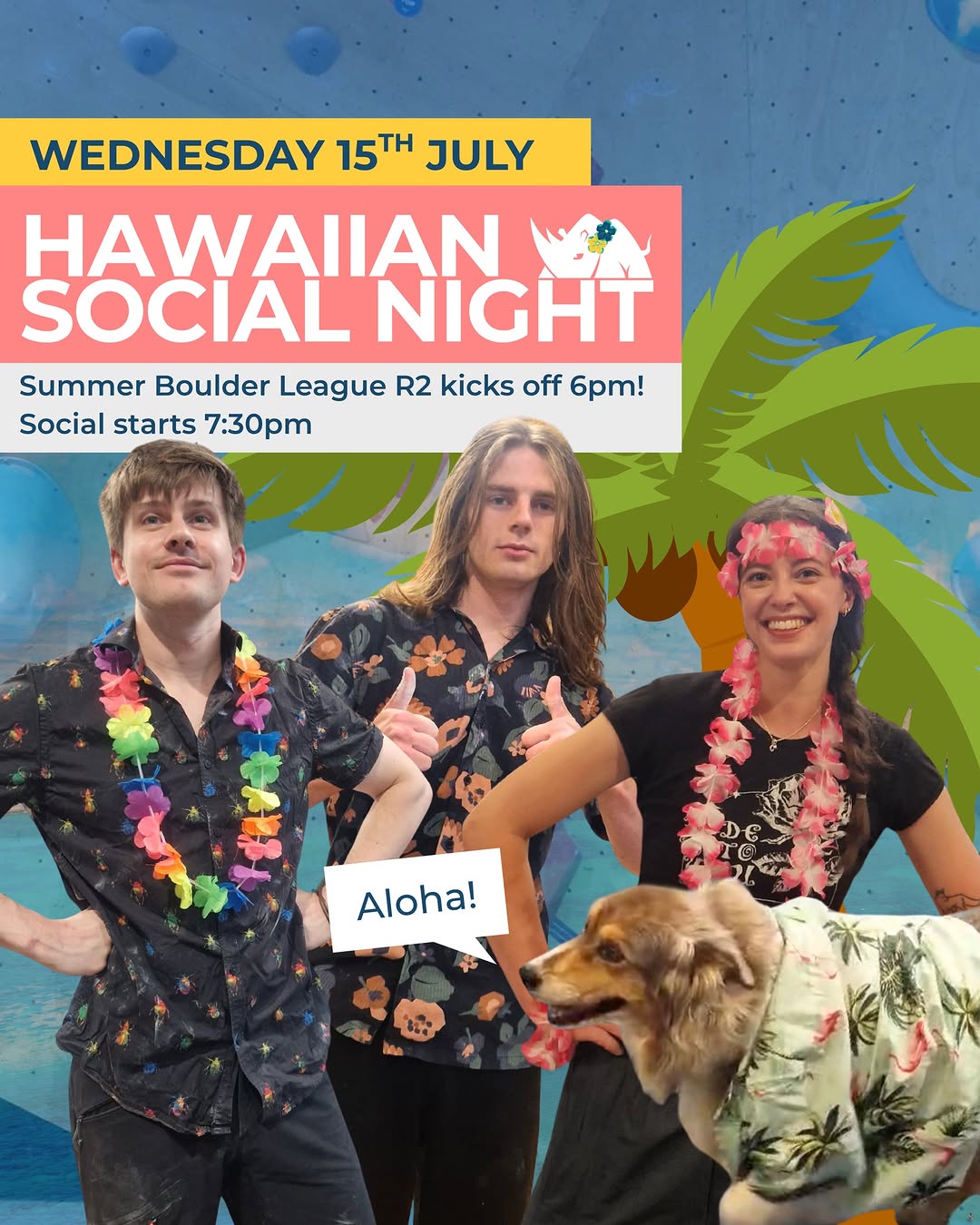 Hawaiian Social