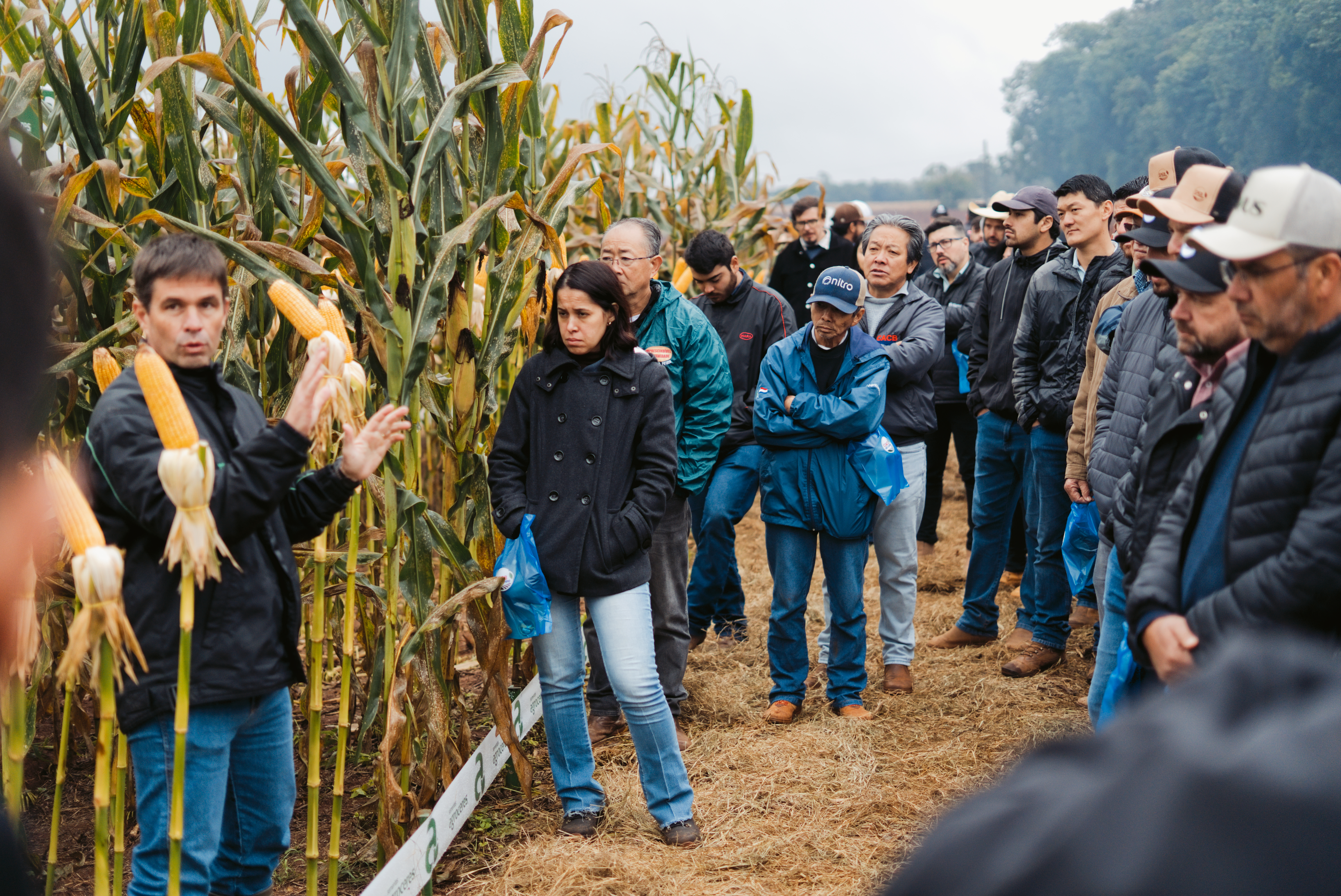 Dia de Campo CACB - Sorgo e Milho — imagem 17