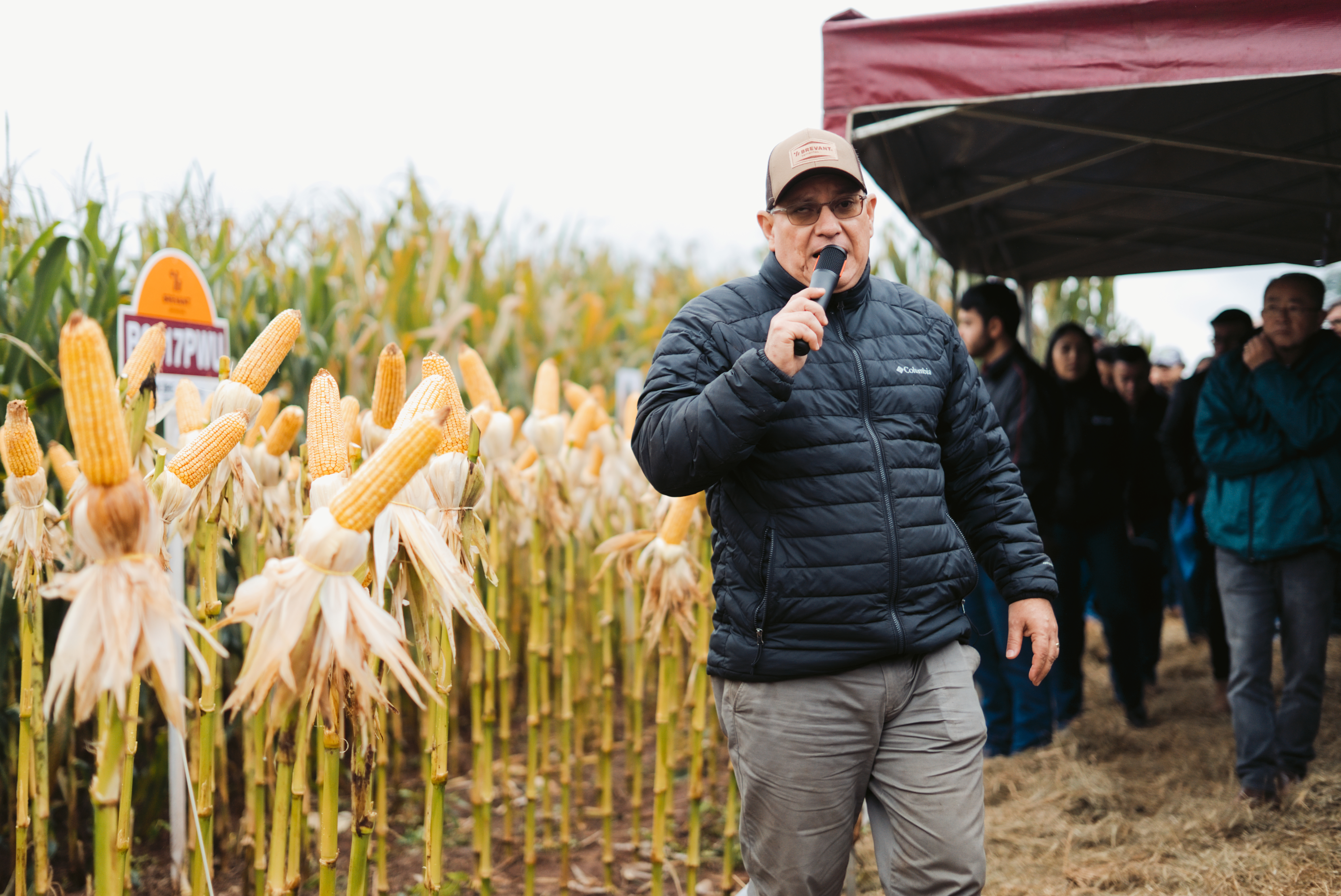 Dia de Campo CACB - Sorgo e Milho — imagem 18