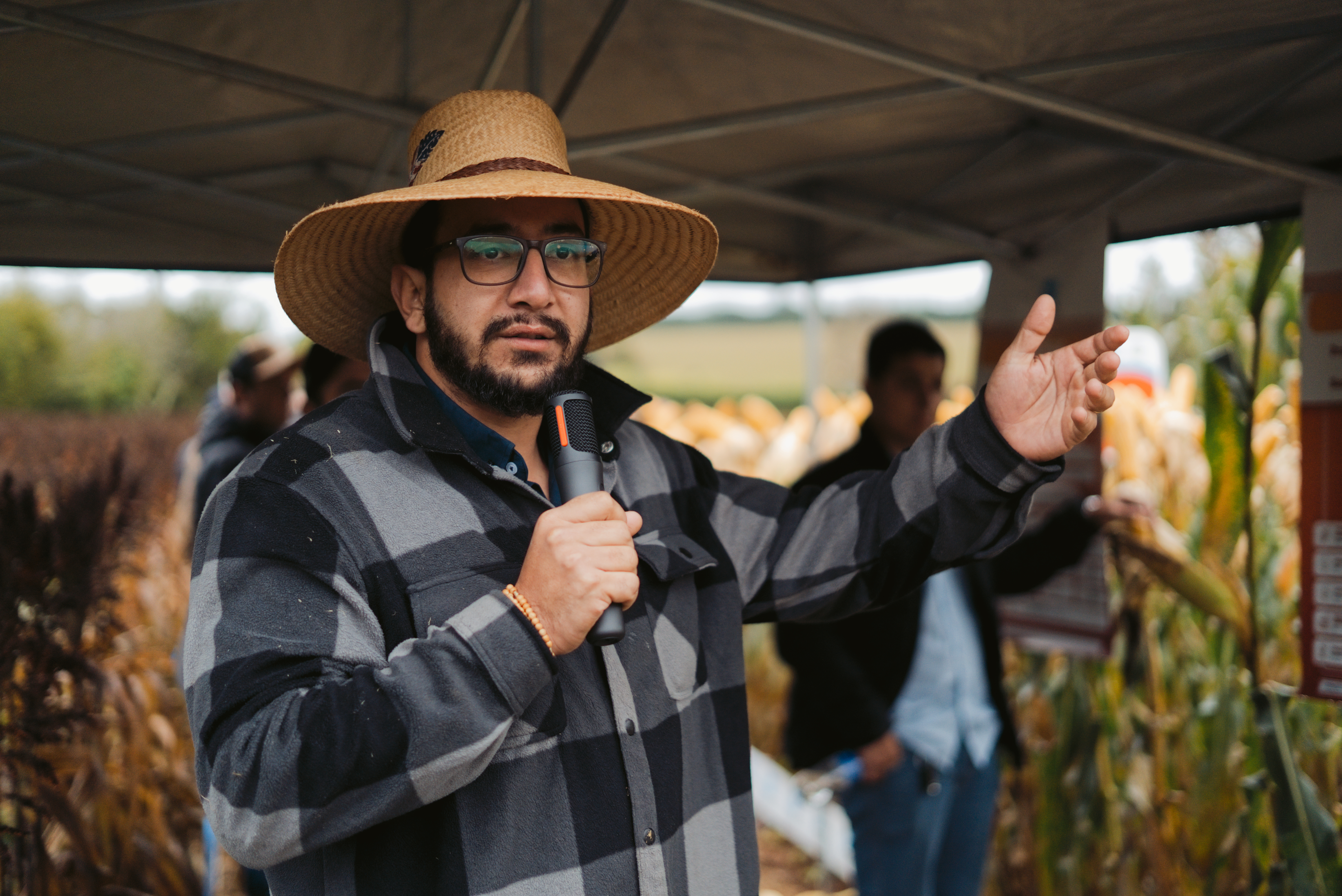 Dia de Campo CACB - Sorgo e Milho — imagem 19