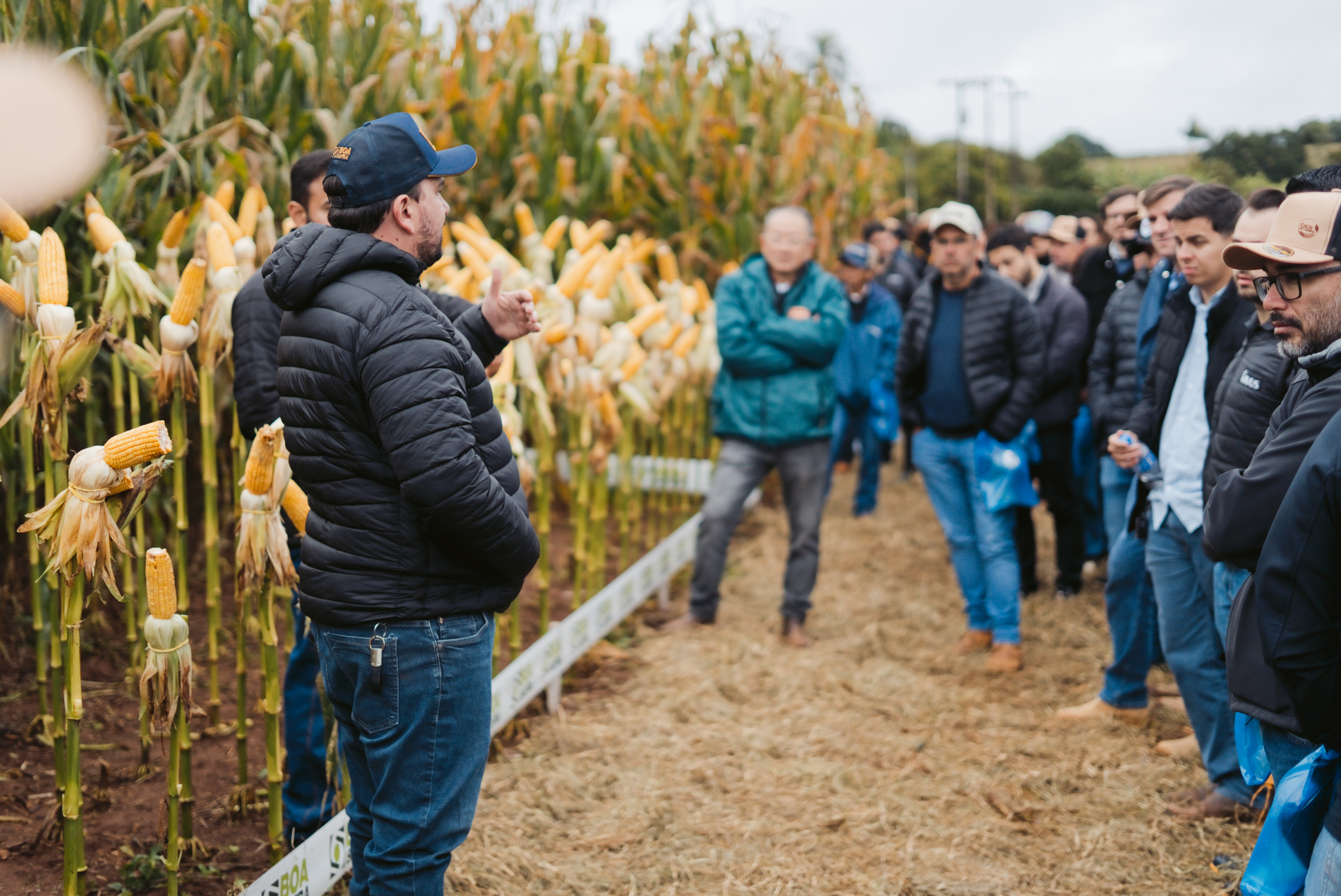 Dia de Campo CACB - Sorgo e Milho — imagem 21