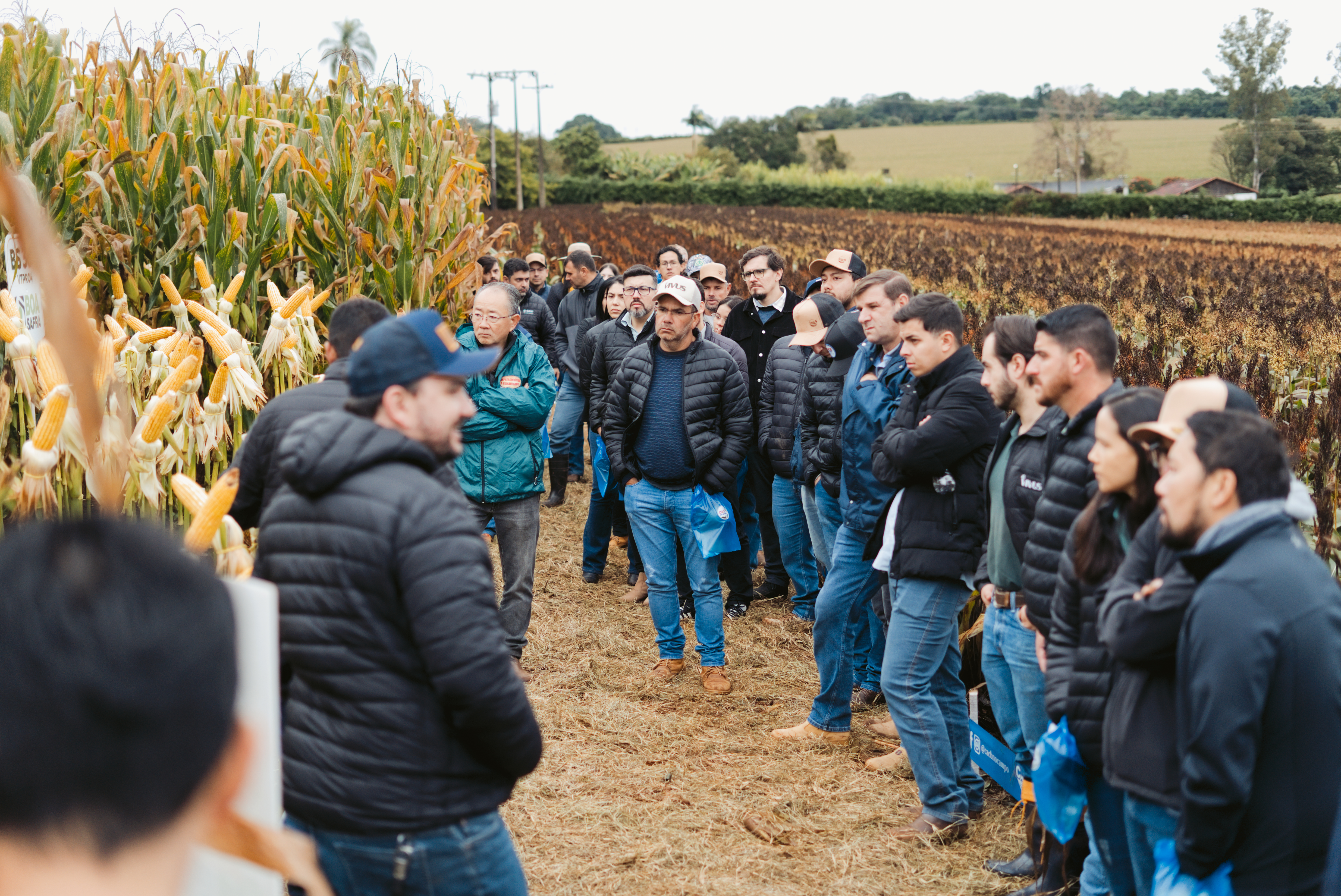 Dia de Campo CACB - Sorgo e Milho — imagem 23
