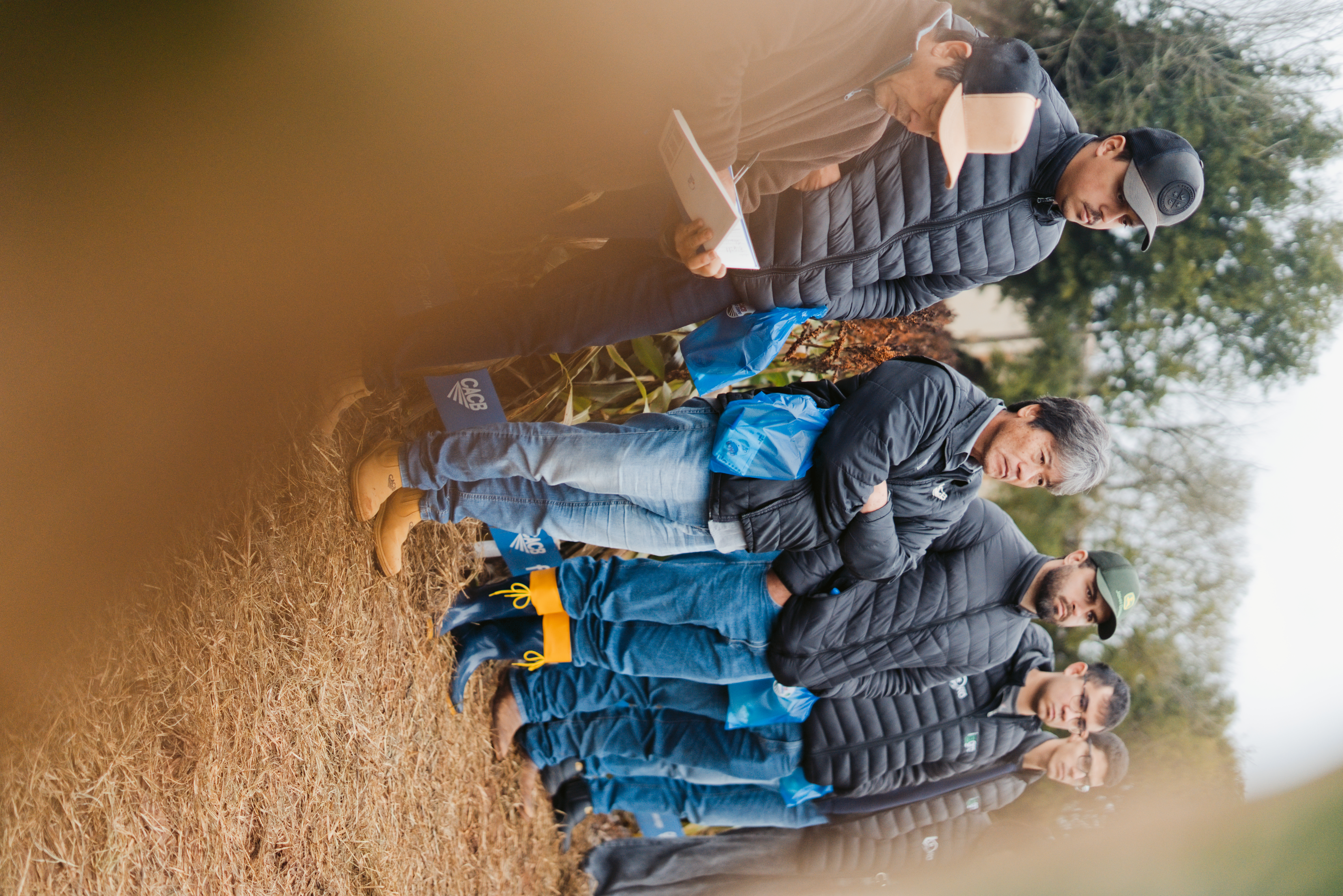 Dia de Campo CACB - Sorgo e Milho — imagem 24