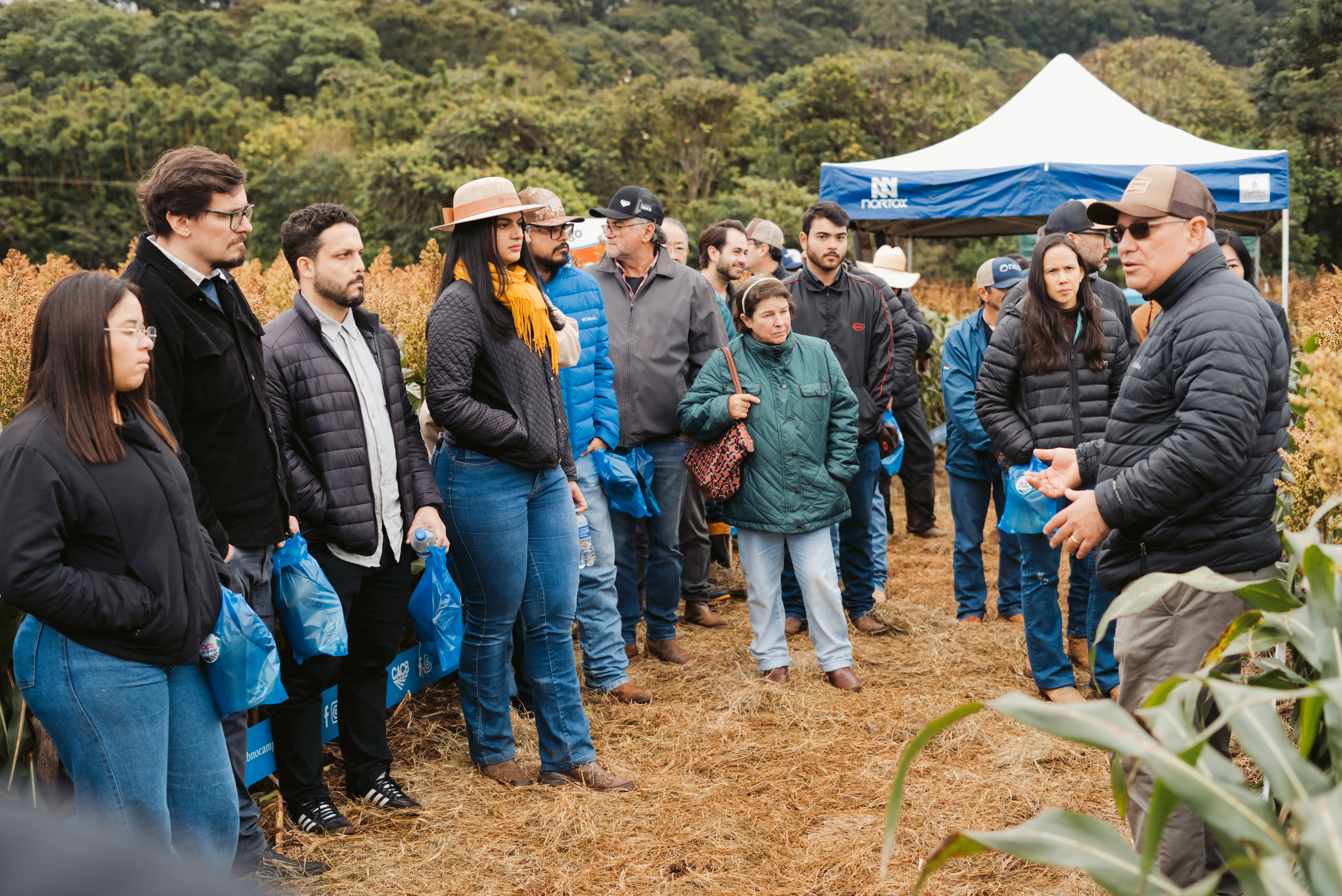 Dia de Campo CACB - Sorgo e Milho — imagem 38