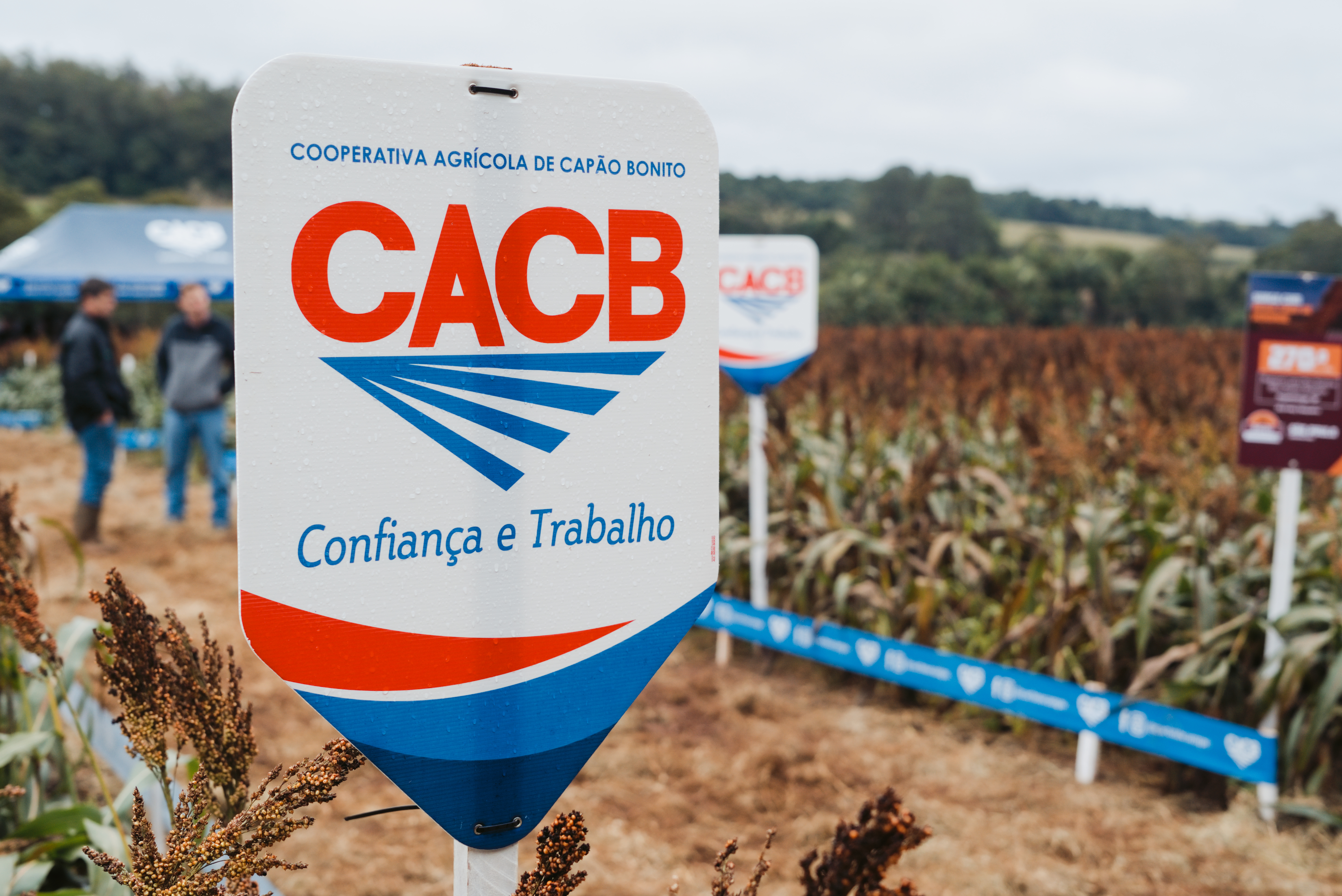 Dia de Campo CACB - Sorgo e Milho — imagem 41