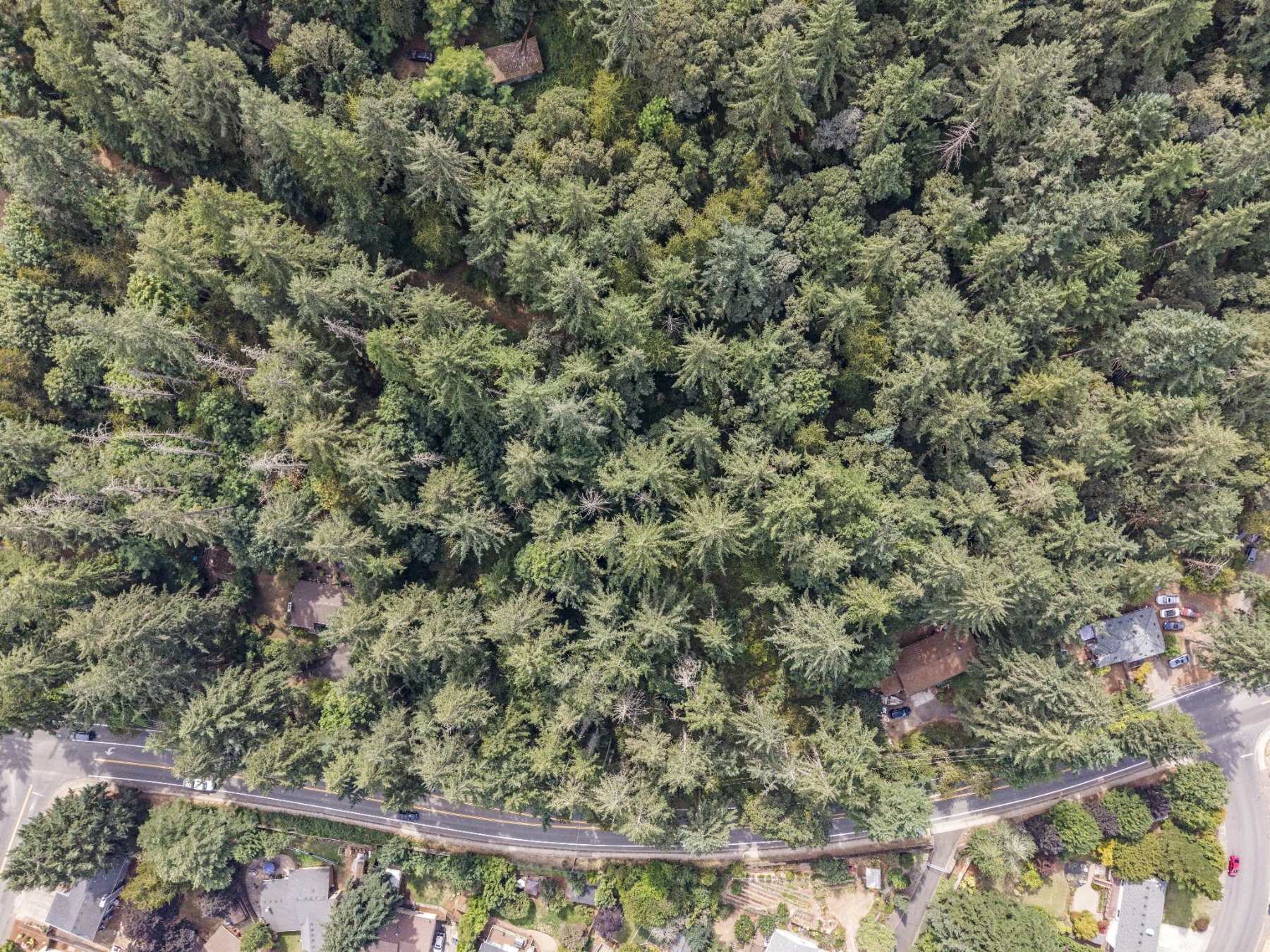 Lot 15 Sunnyside Rd SE, Salem, OR: Land for sale, 2.12 ac (photo 2 of 7)