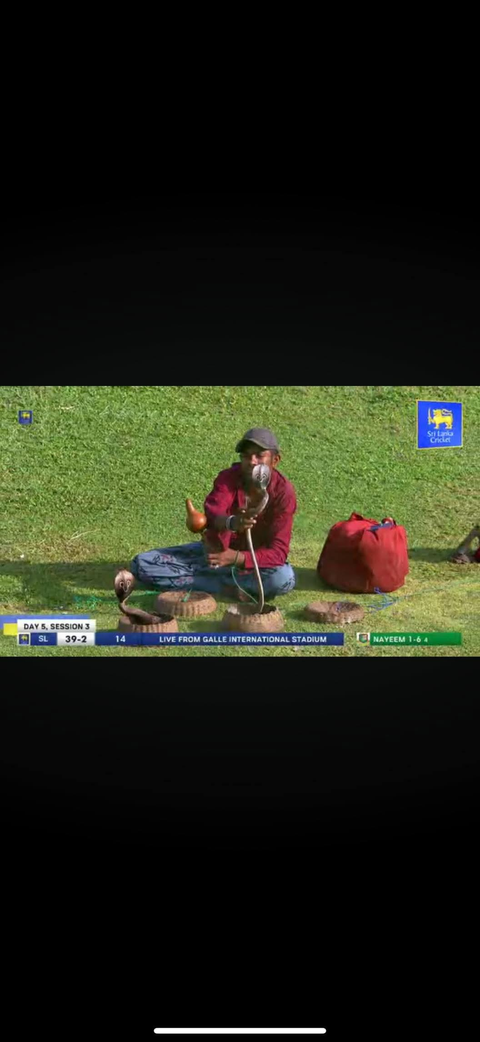 Snake Charmer at Cricket Match