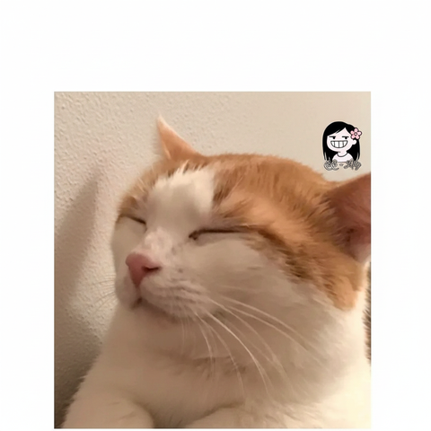 Zen Cat Meditating