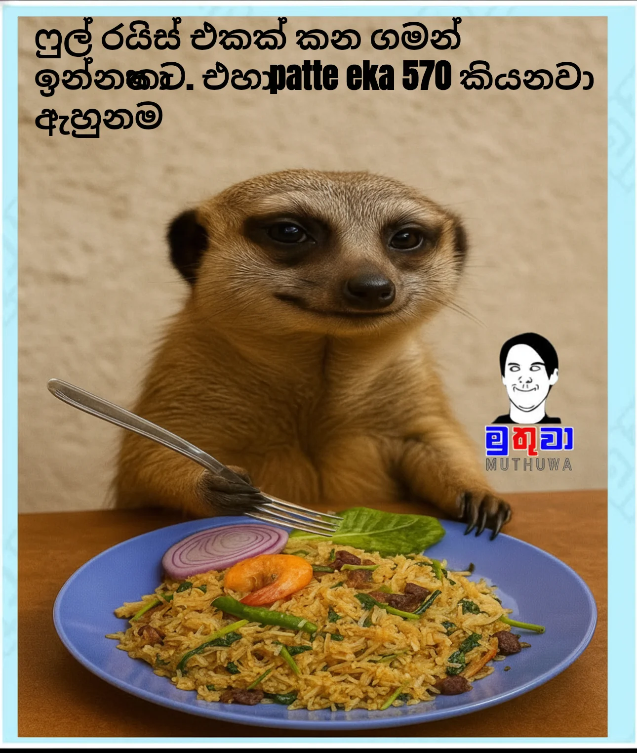 Meerkat eating fried rice