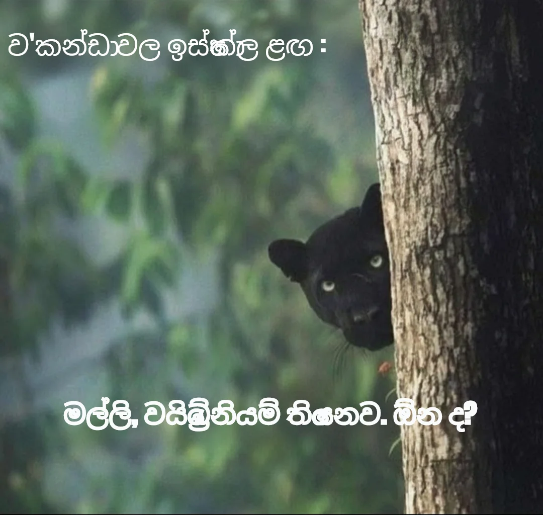 Black Panther Hiding Behind Tree
