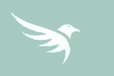 client_profile