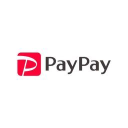 PayPay Corporation logo