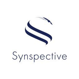 Jobs at Synspective