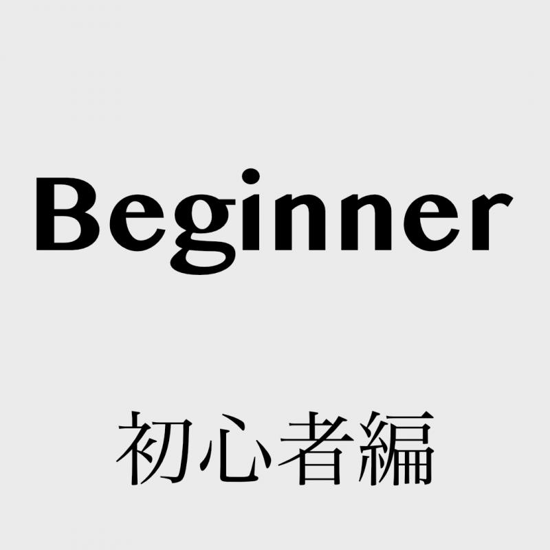 初心者編