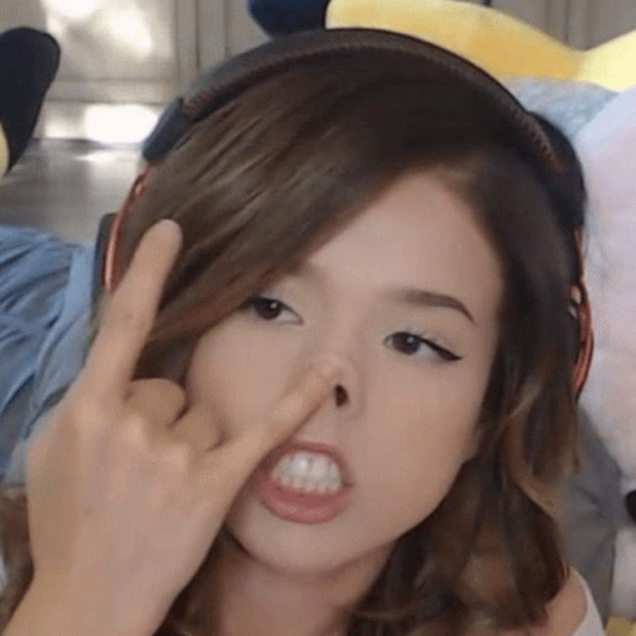 avatar Pokimane Too
