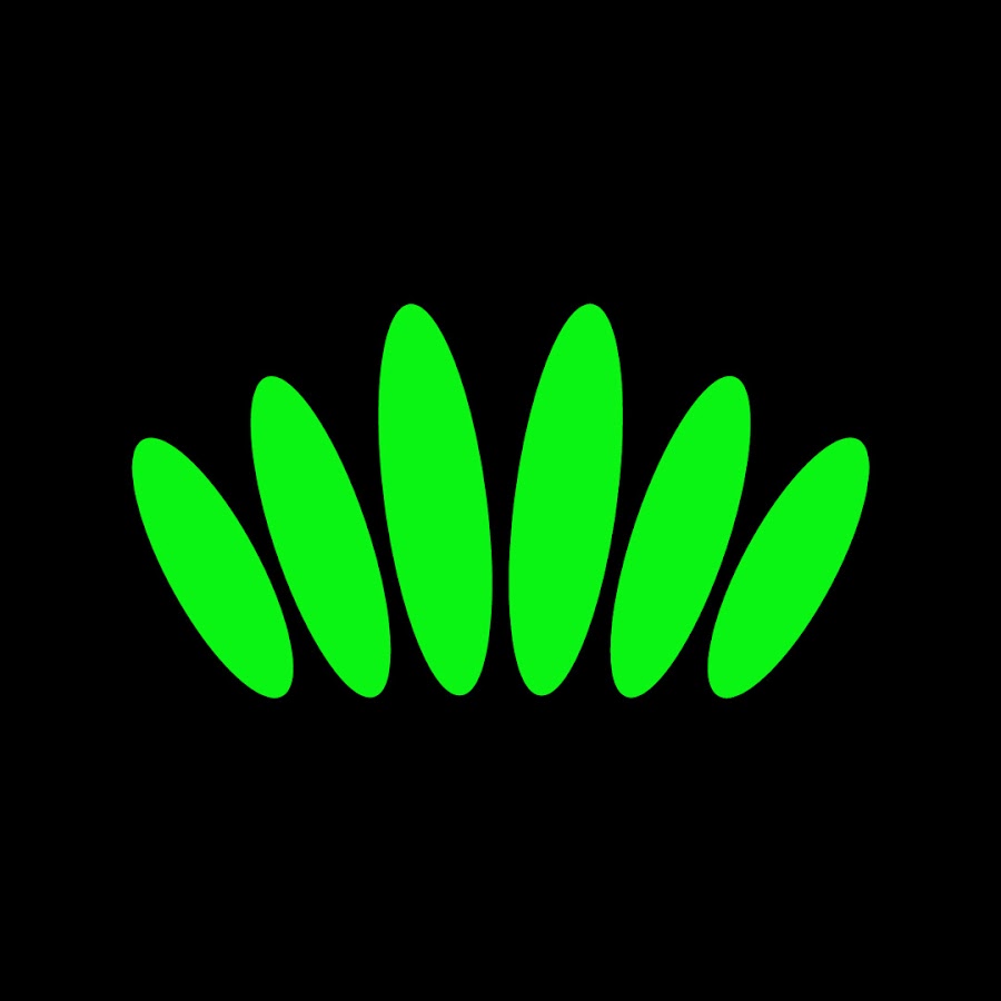 stemma media & sports 