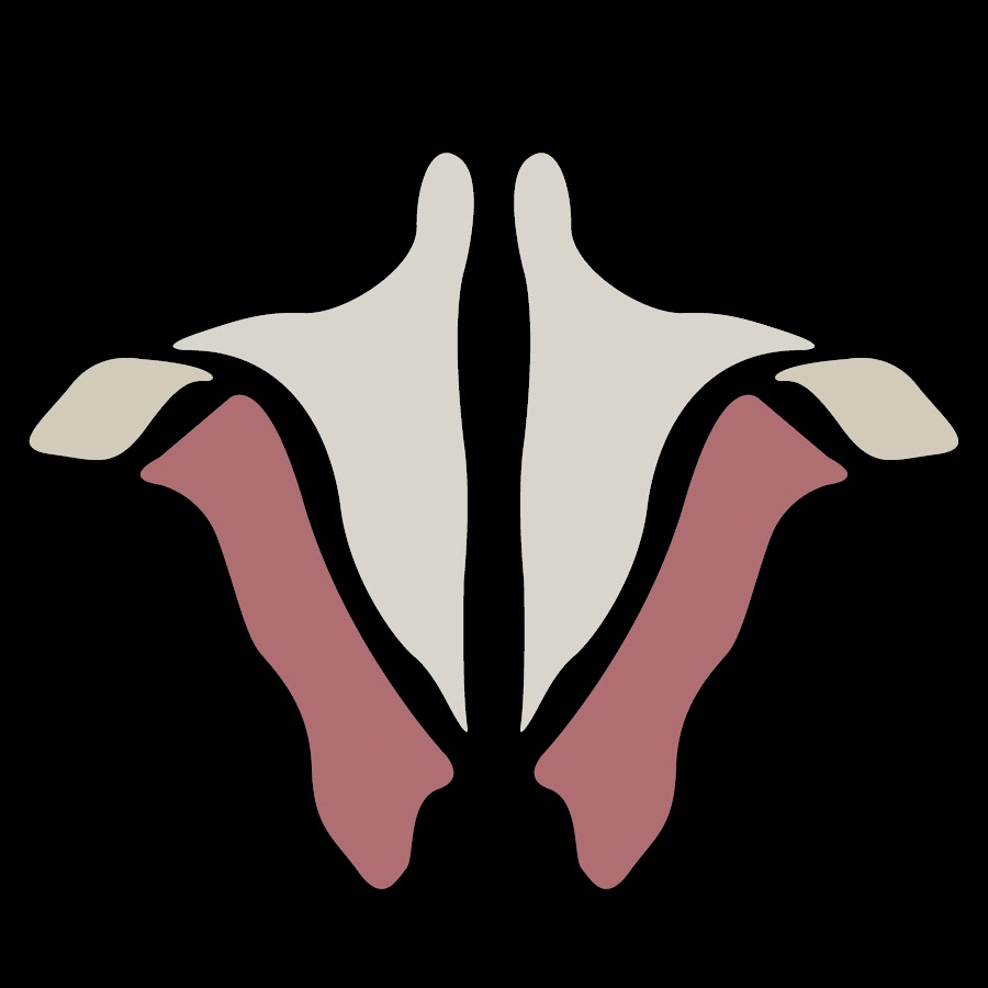 Institute of Human Anatomy