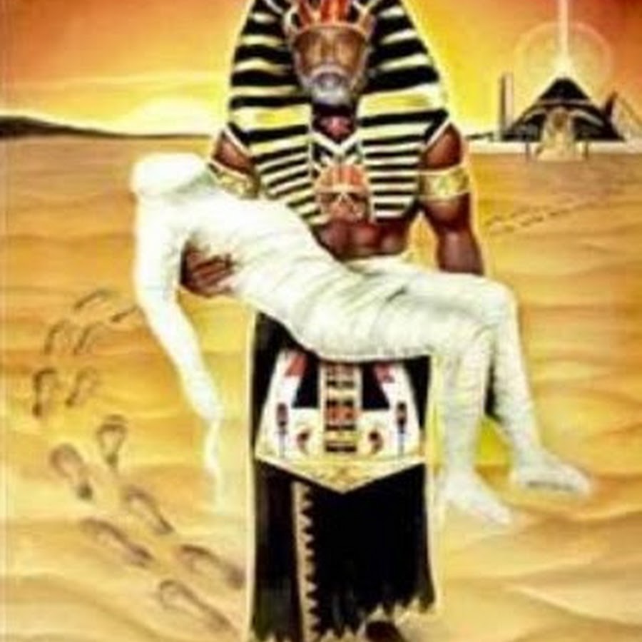 creator avatar