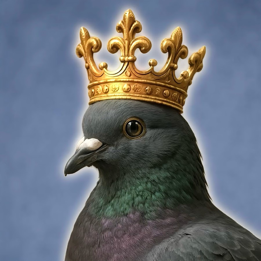 The ColumbidaeKing