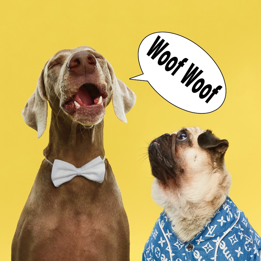 HOOOTDOGS