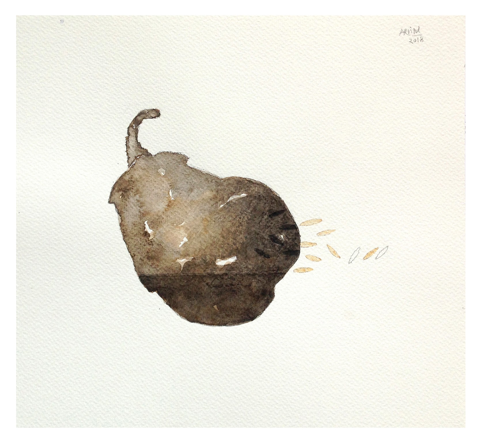 image-2