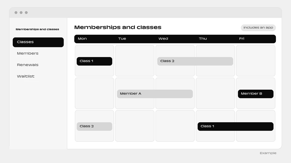 A weekly calendar from Monday to Friday with classes and members placed on different days.